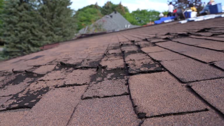 Fast & Reliable Emergency Roof Repairs in Decordova, TX