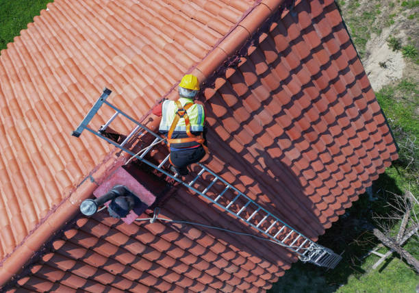 Best Skylight Installation and Repair  in Decordova, TX